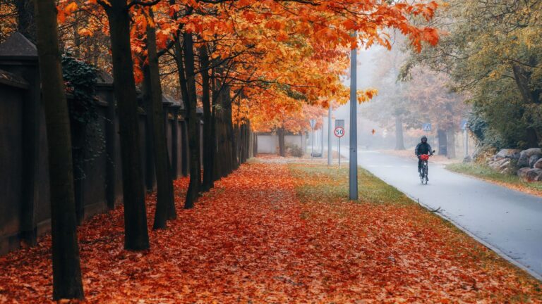 Photo by Janusz Walczak on Pexels