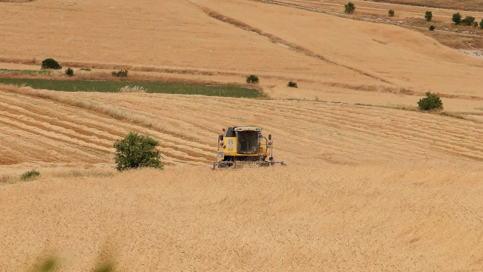 Global Hunger Fell Below 8 Percent for the First Time Since the Pandemic